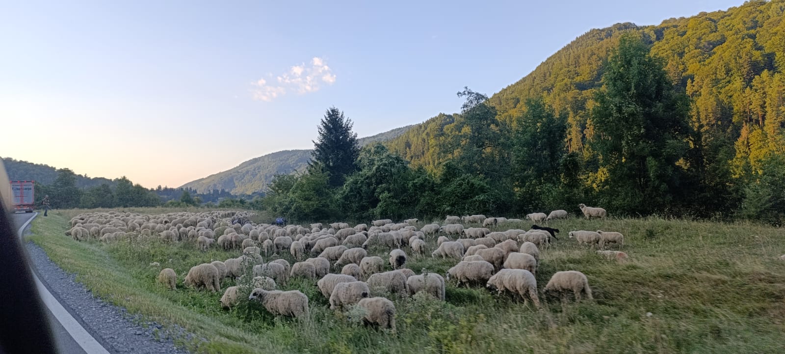 Constanța – Sighișoara